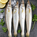 Piccoli Pesci di Mare